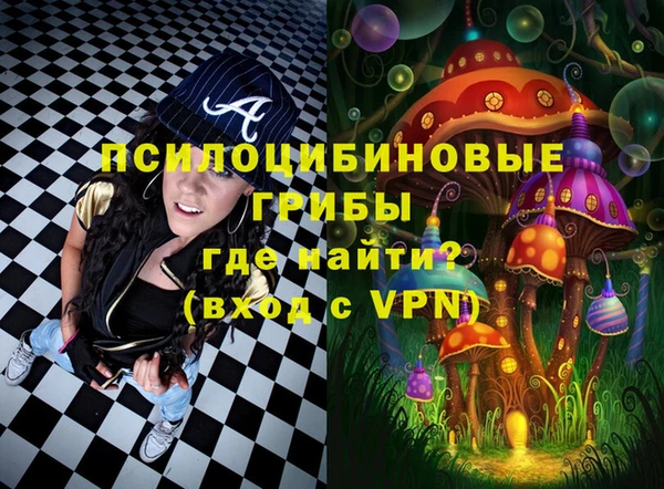 прущие грибы Аркадак