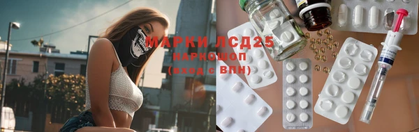 прущие грибы Аркадак