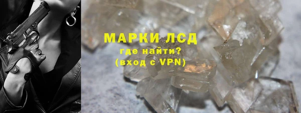 прущие грибы Аркадак