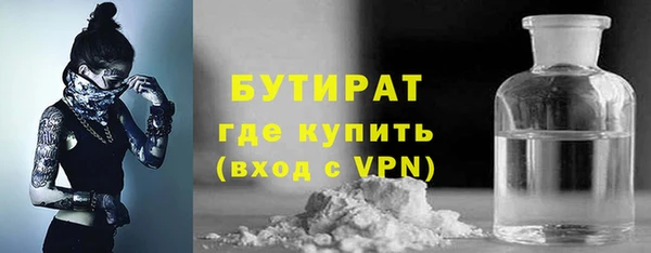 прущие грибы Аркадак