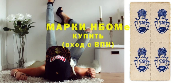 прущие грибы Аркадак