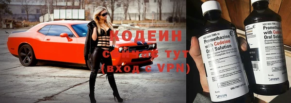прущие грибы Аркадак