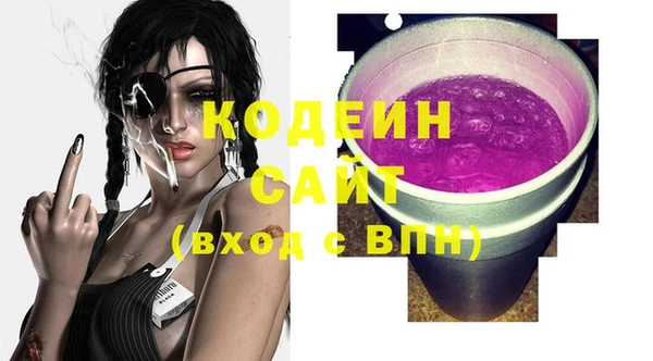 прущие грибы Аркадак