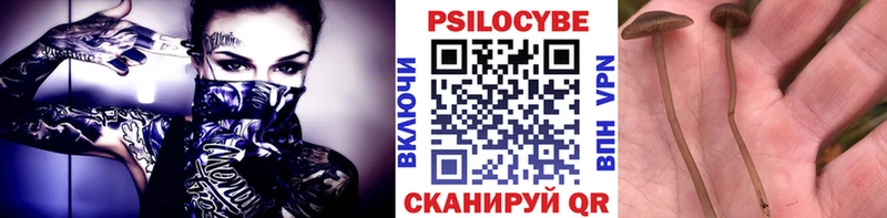 Галлюциногенные грибы GOLDEN TEACHER  omg зеркало  Судогда 